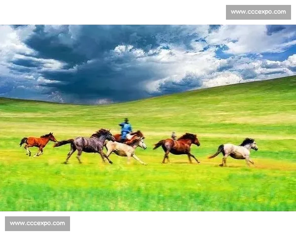 马背天骄：锡林郭勒草原驯马人的传奇与传承