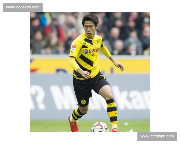 汉堡布鲁日竞逐武什科维奇 热刺新帅弗兰克将评估租借可行性 汉堡布鲁日竞逐武什科维奇 热刺新帅弗兰克将评估租借可行性